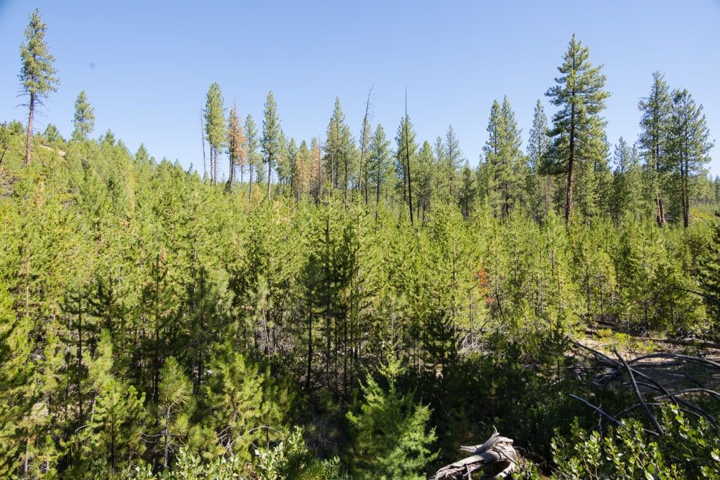 natural-water-slides-hike-and-paulina-plunge-tour-017