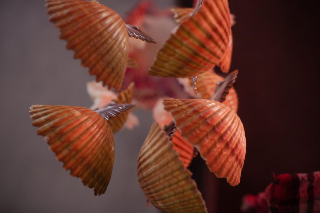 shopping-on-rodeo-drive-015