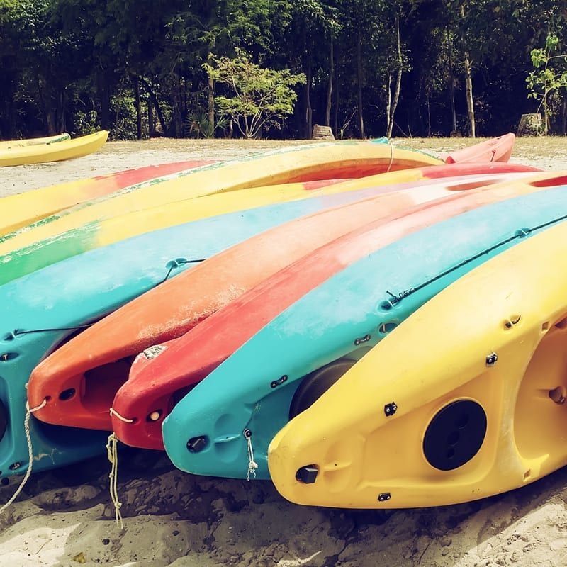 Unique Things to Do in Los Cabos