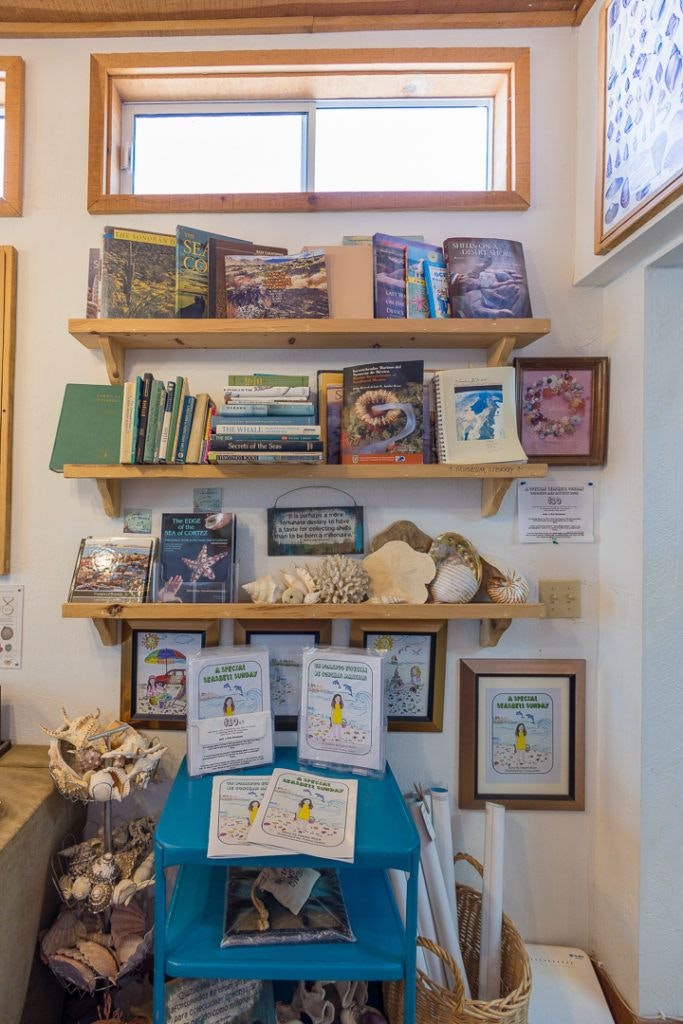 the-seashell-museum-and-sea-debris-shop-008