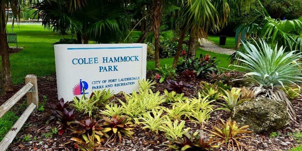 colee-hammock-park-001