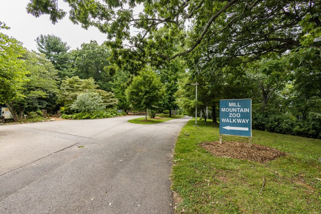 mill-mountain-wildflower-garden-006