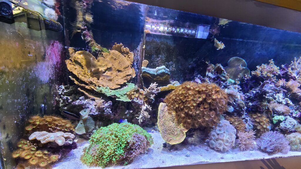 great-lakes-aquarium-004