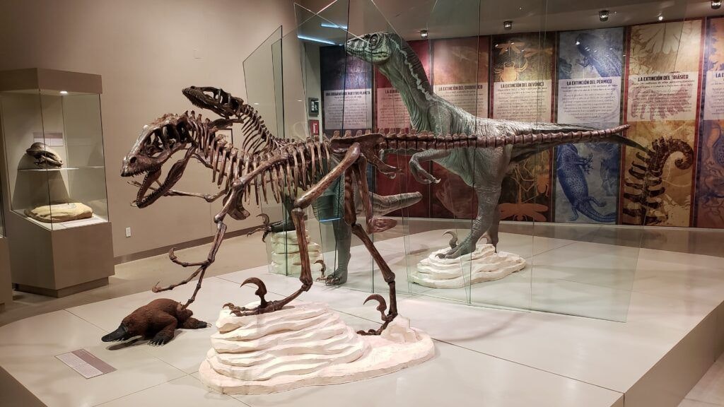 mayan-world-museum-of-merida-003