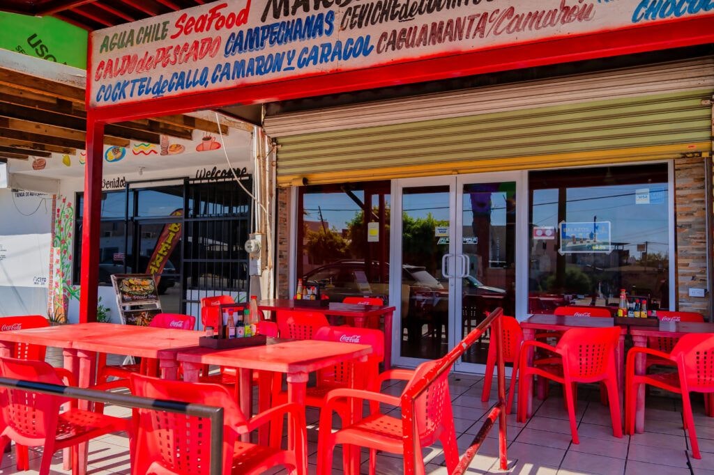 el-calamar-gigante-010