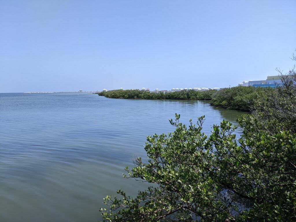 laguna-madre-nature-trail-003