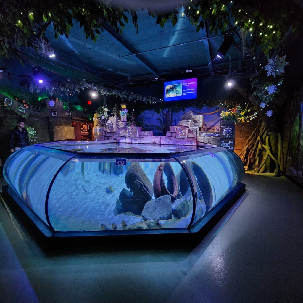 sea-life-aquarium-014