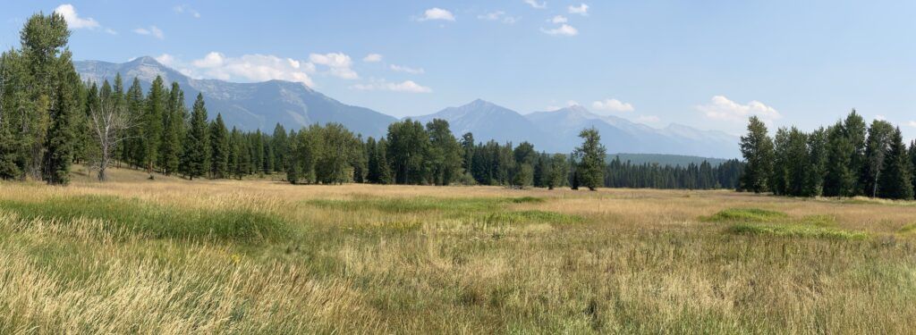 flathead-national-forest-004