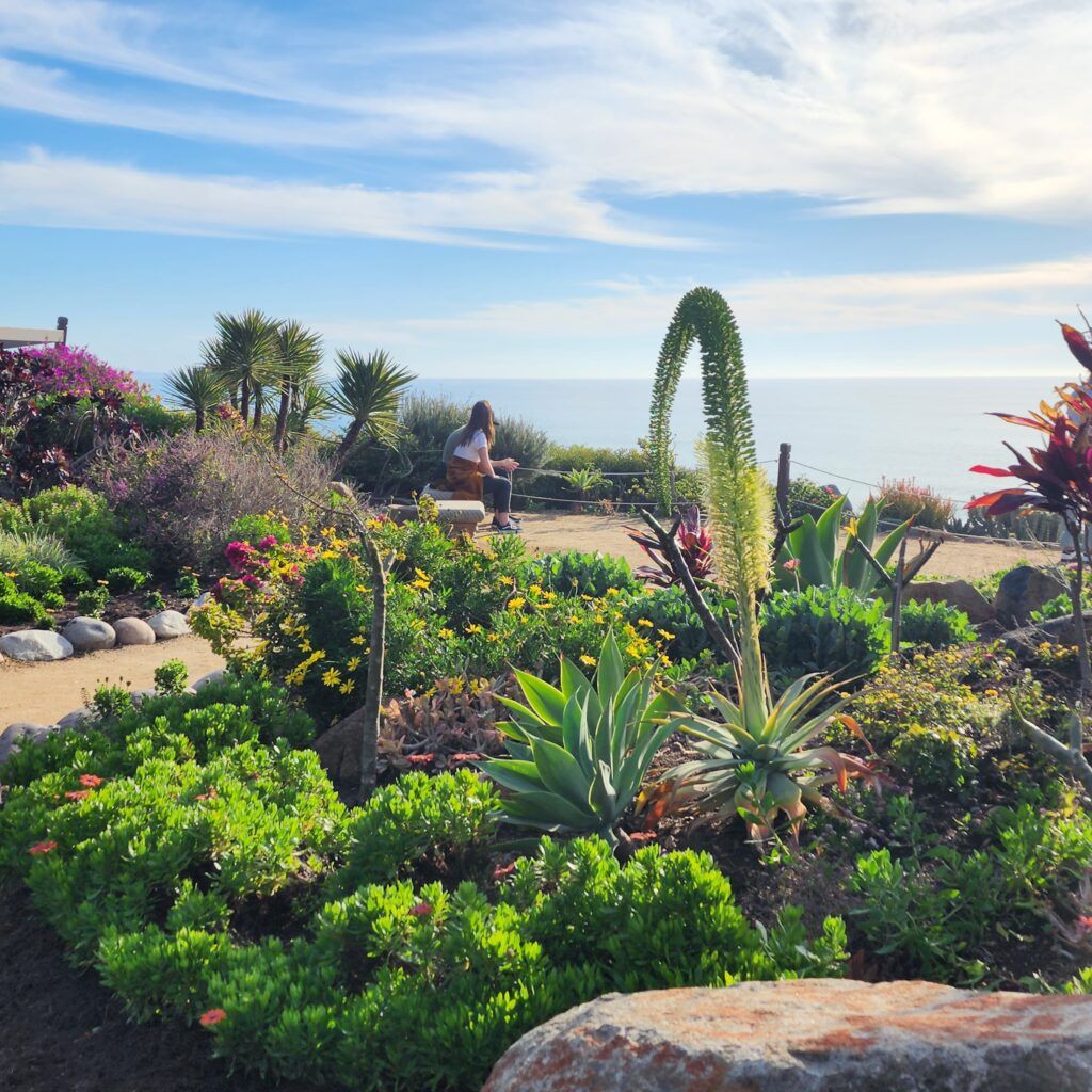 self-realization-fellowship-meditation-gardens-006