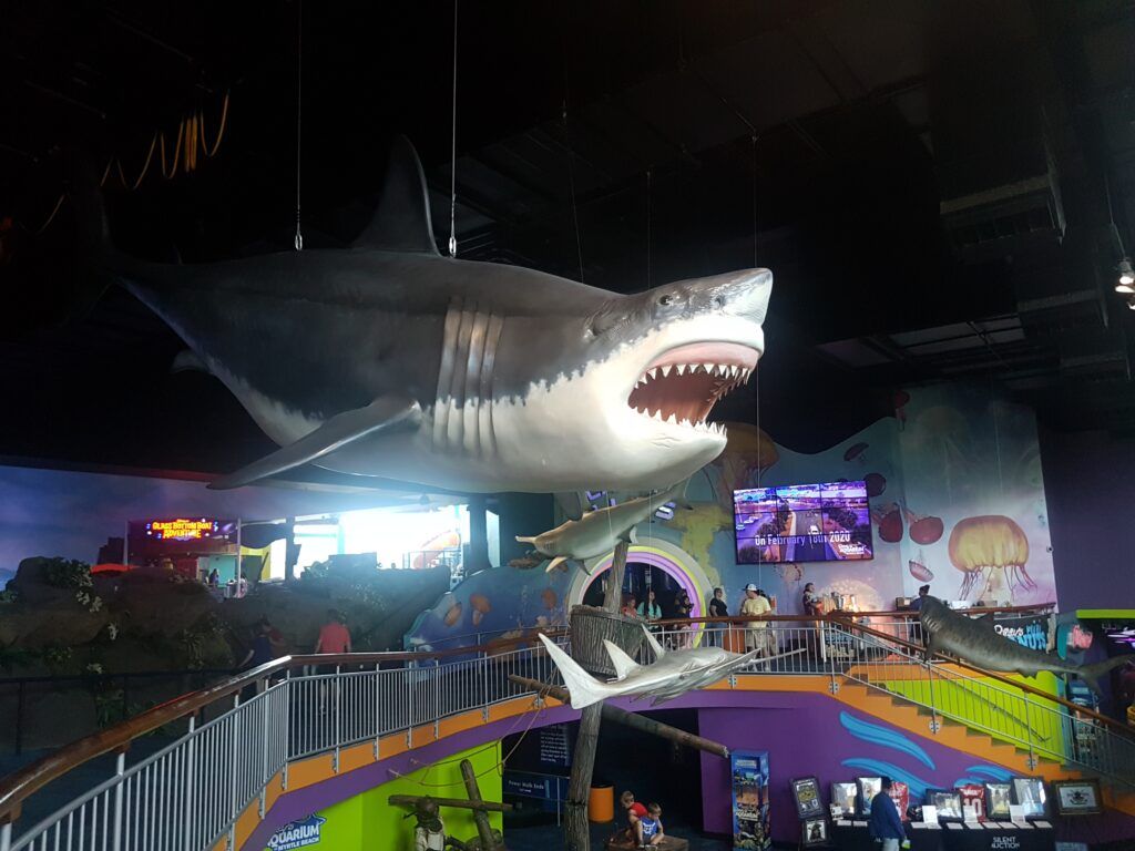 ripley-s-aquarium-of-myrtle-beach-003