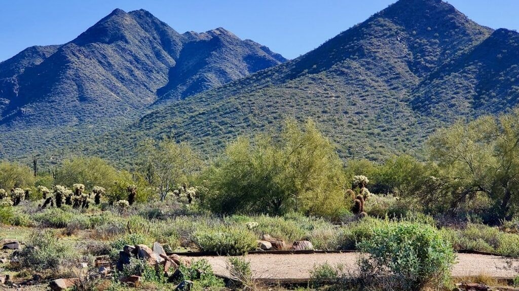 mcdowell-sonoran-preserve-003