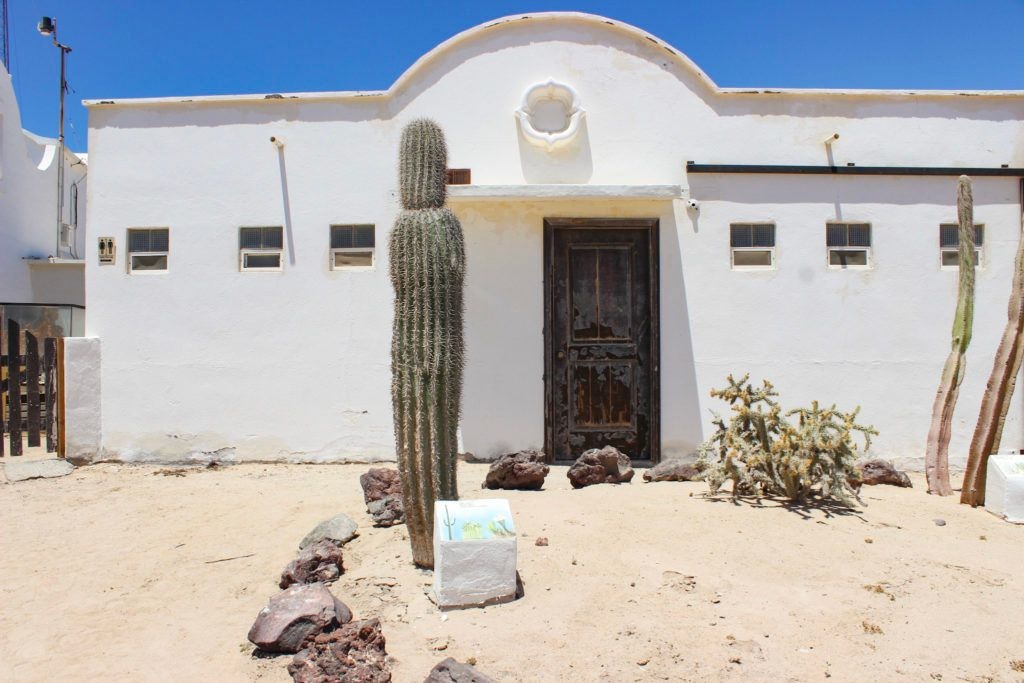 cedo-intercultural-center-for-the-study-of-deserts-and-oceans-025