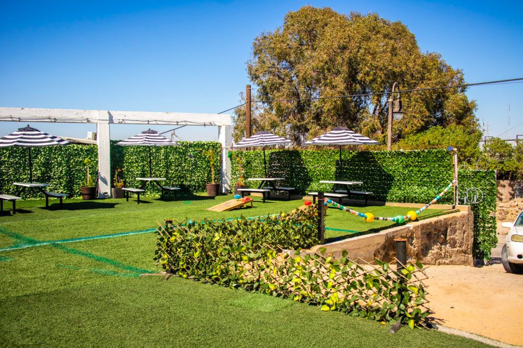 grapes-and-barley-019