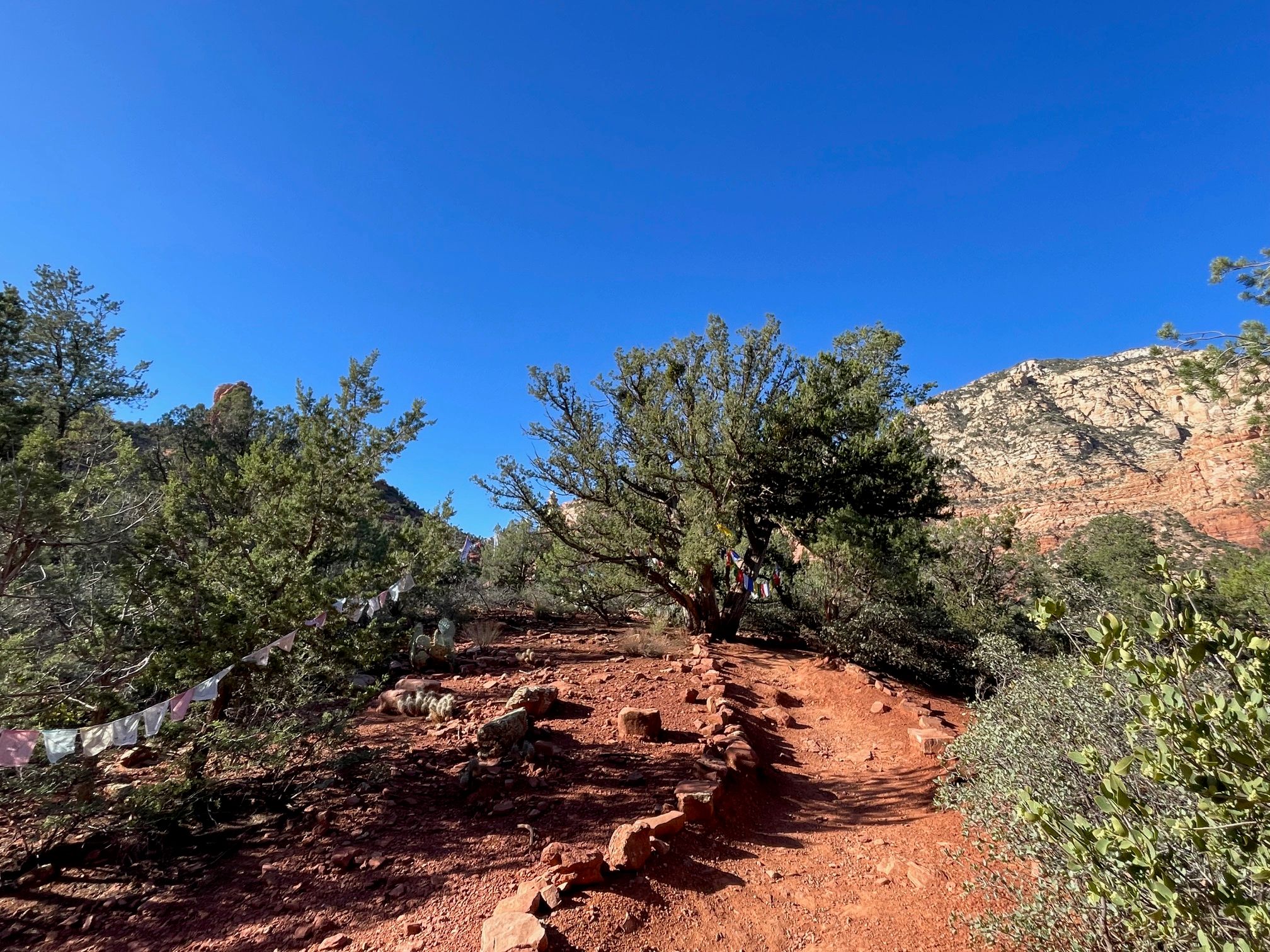 Unique Things to Do in Sedona