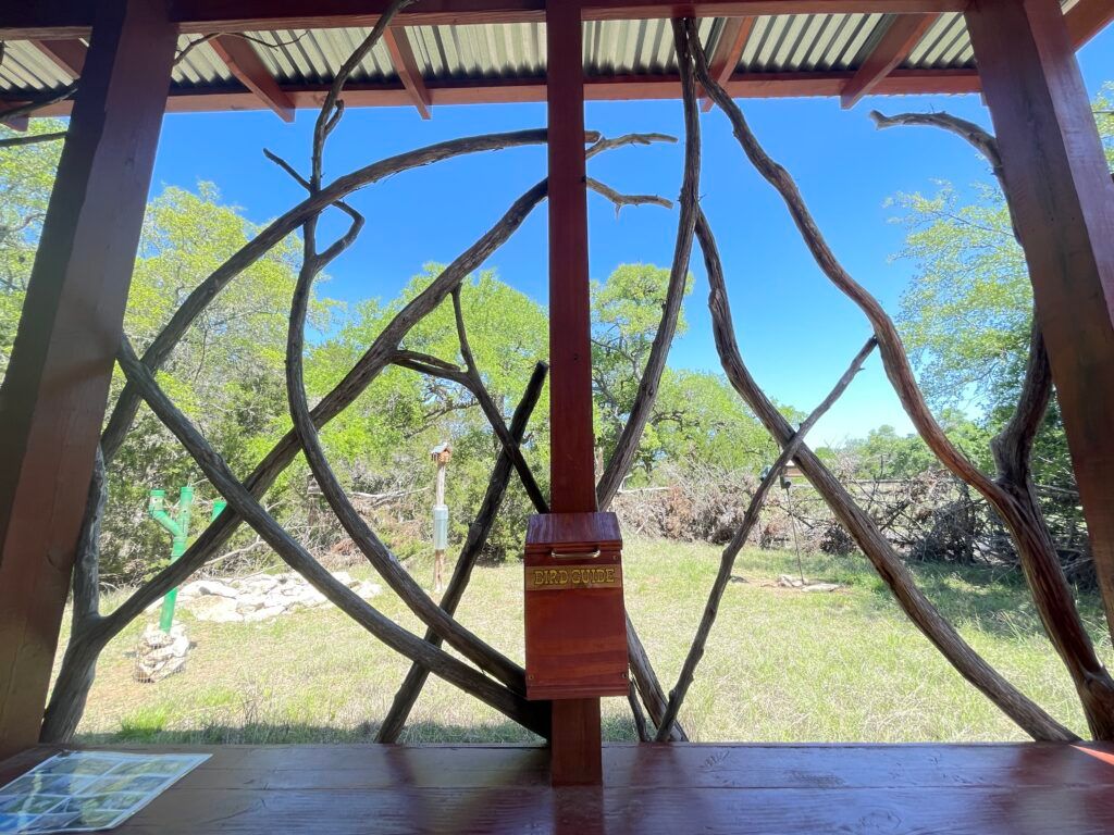 jacobs-well-spring-003