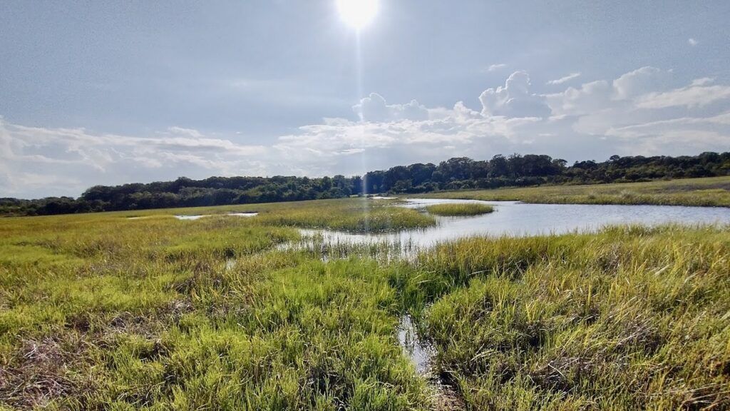 Egan's Creek Greenway