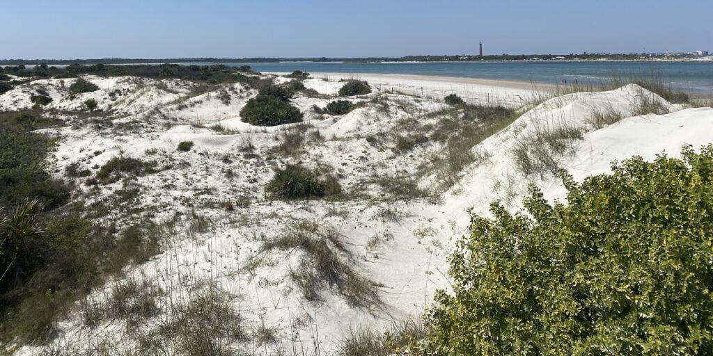Smyrna Dunes Park