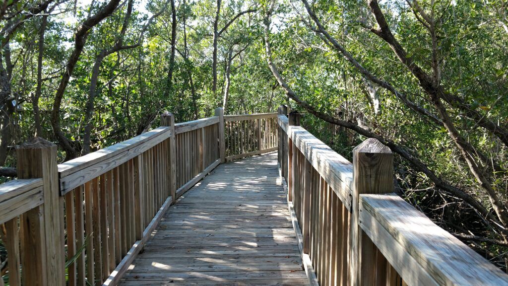 the-nature-conservancy-blowing-rocks-preserve-003