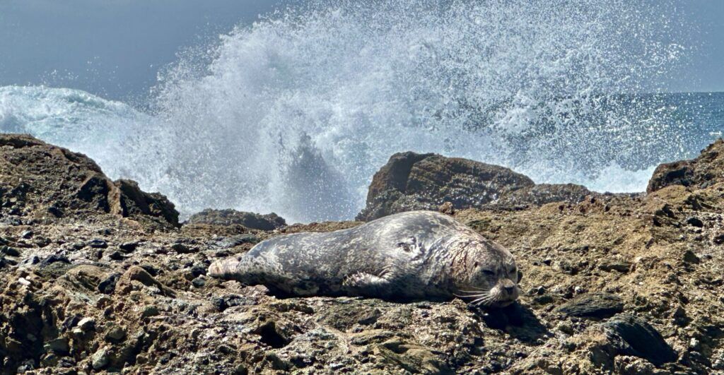 1000-steps-beach-003