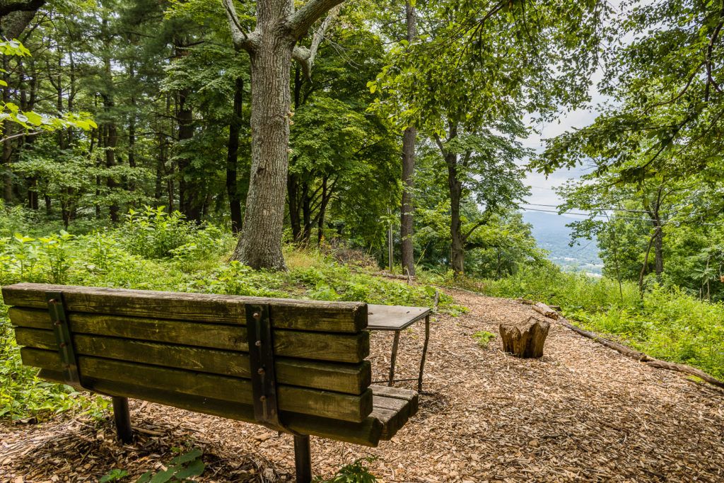 mill-mountain-wildflower-garden-014