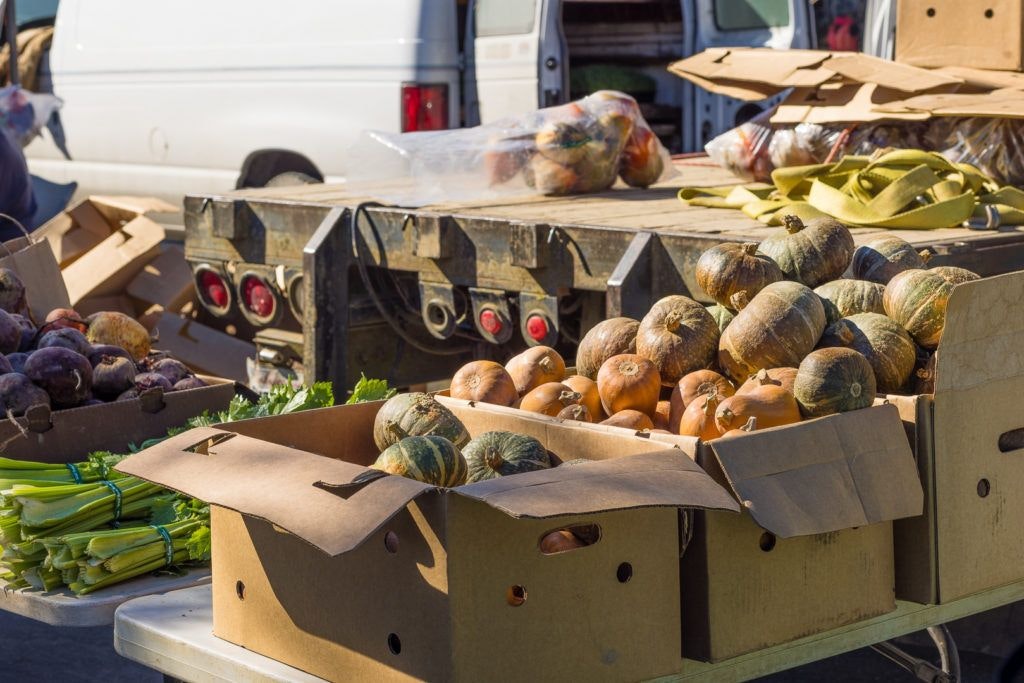 arcata-plaza-farmer-s-market-005