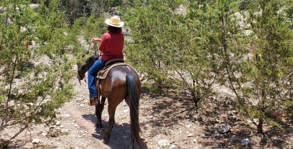 elm-creek-stables-001