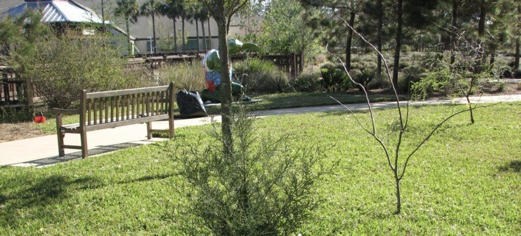 bird-island-park-002