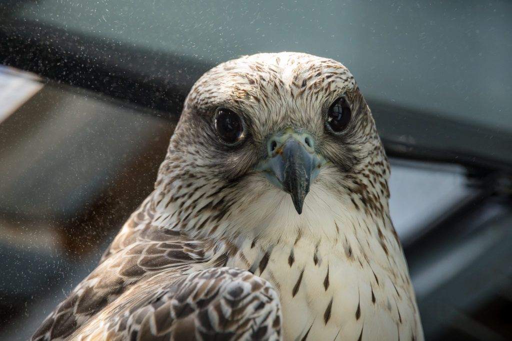 Sunriver Nature Center & Oregon Observatory
