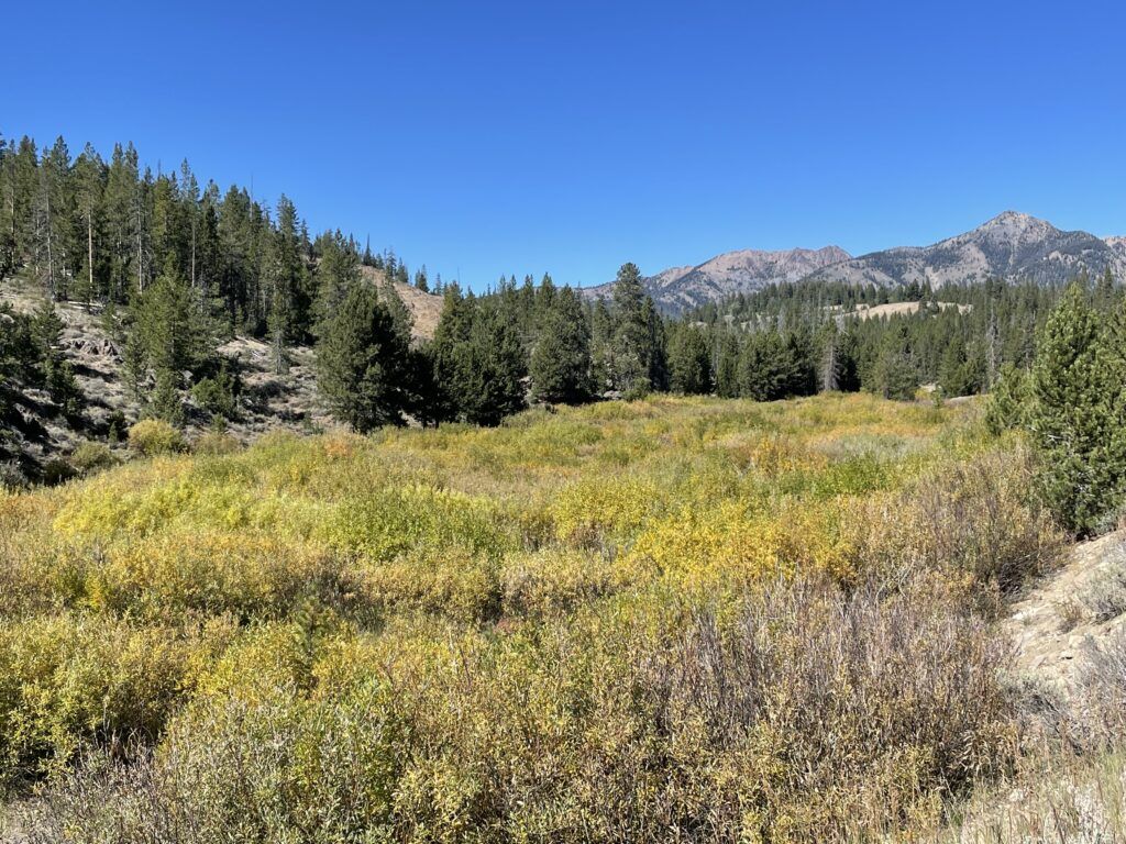 sawtooth-national-recreation-area-004