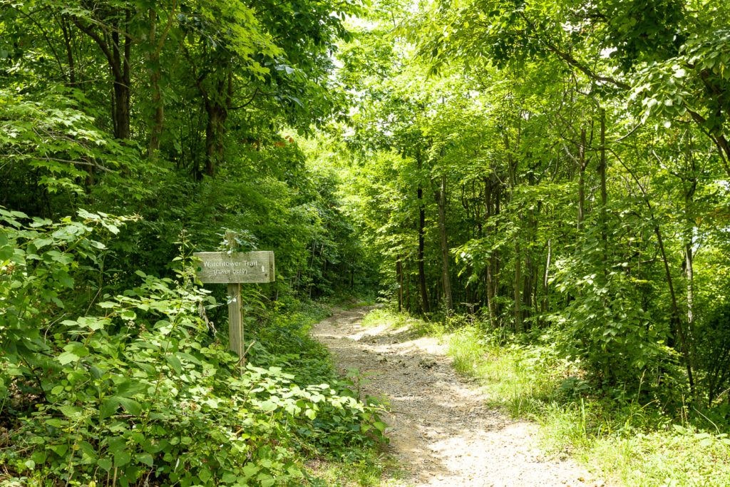 mill-mountain-star-018