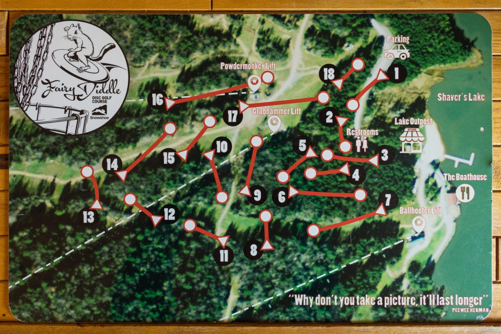 fairy-diddle-disc-golf-002