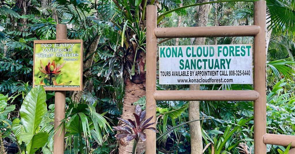 Kona Cloud Forest Sanctuary