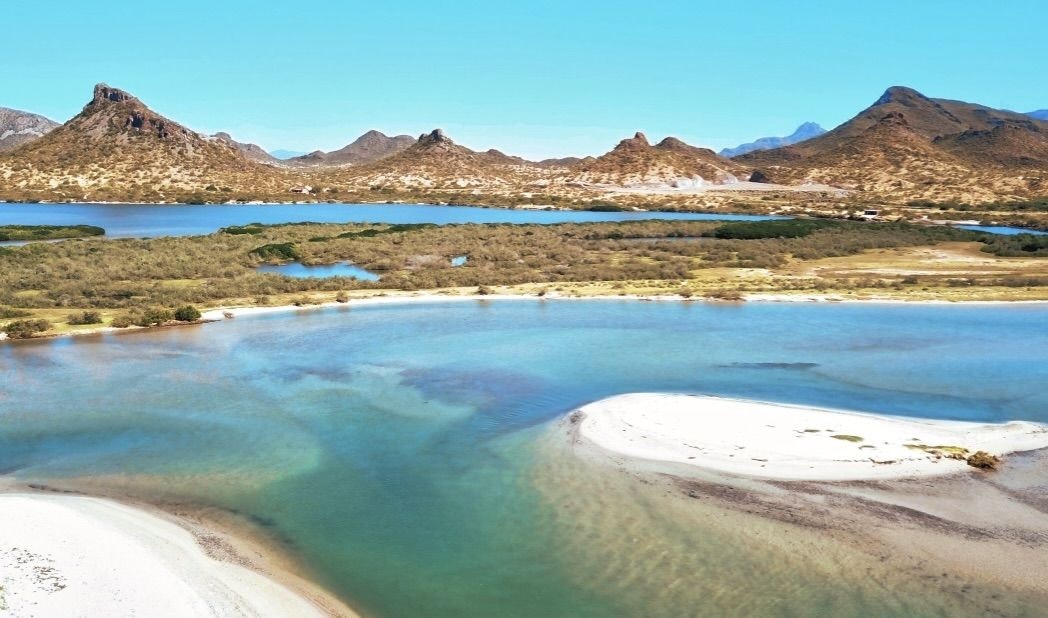 El Soldado Estuary.jpeg