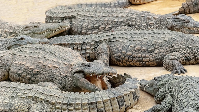 Unique Things to do in Cancun, Mexico