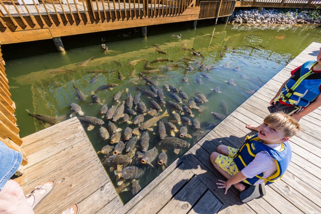 bridgewater-marina-and-pier-002