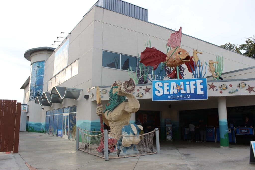 sea-life-aquarium-001