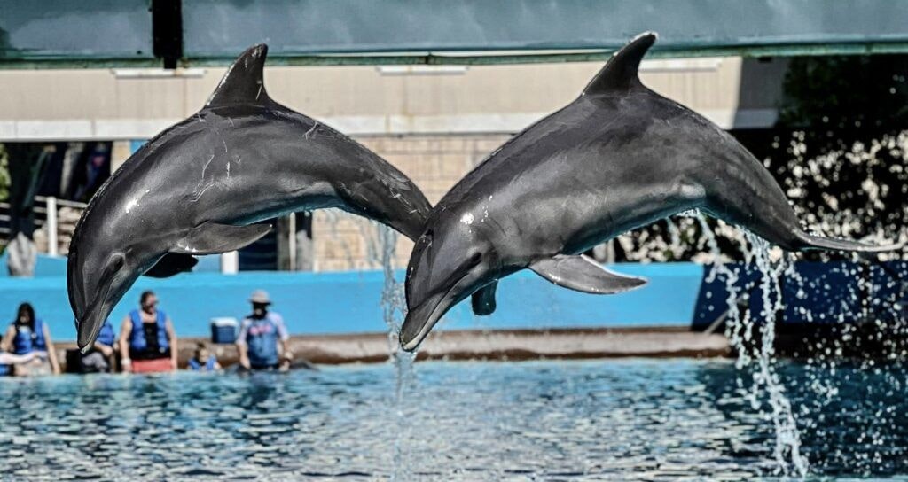 interactive-aquarium-cancun-003