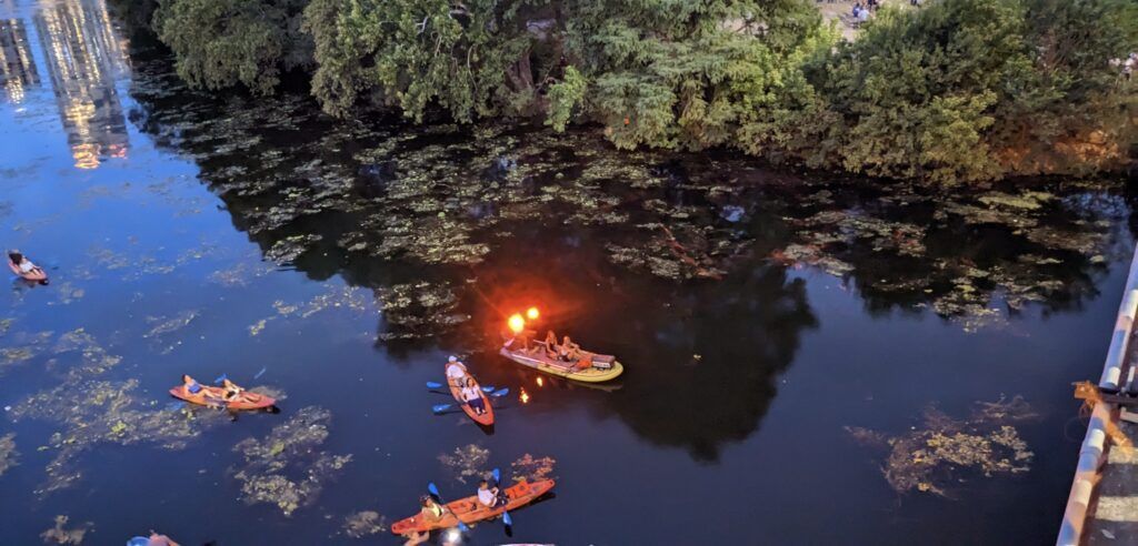 austin-bats-at-south-congress-bridge-003