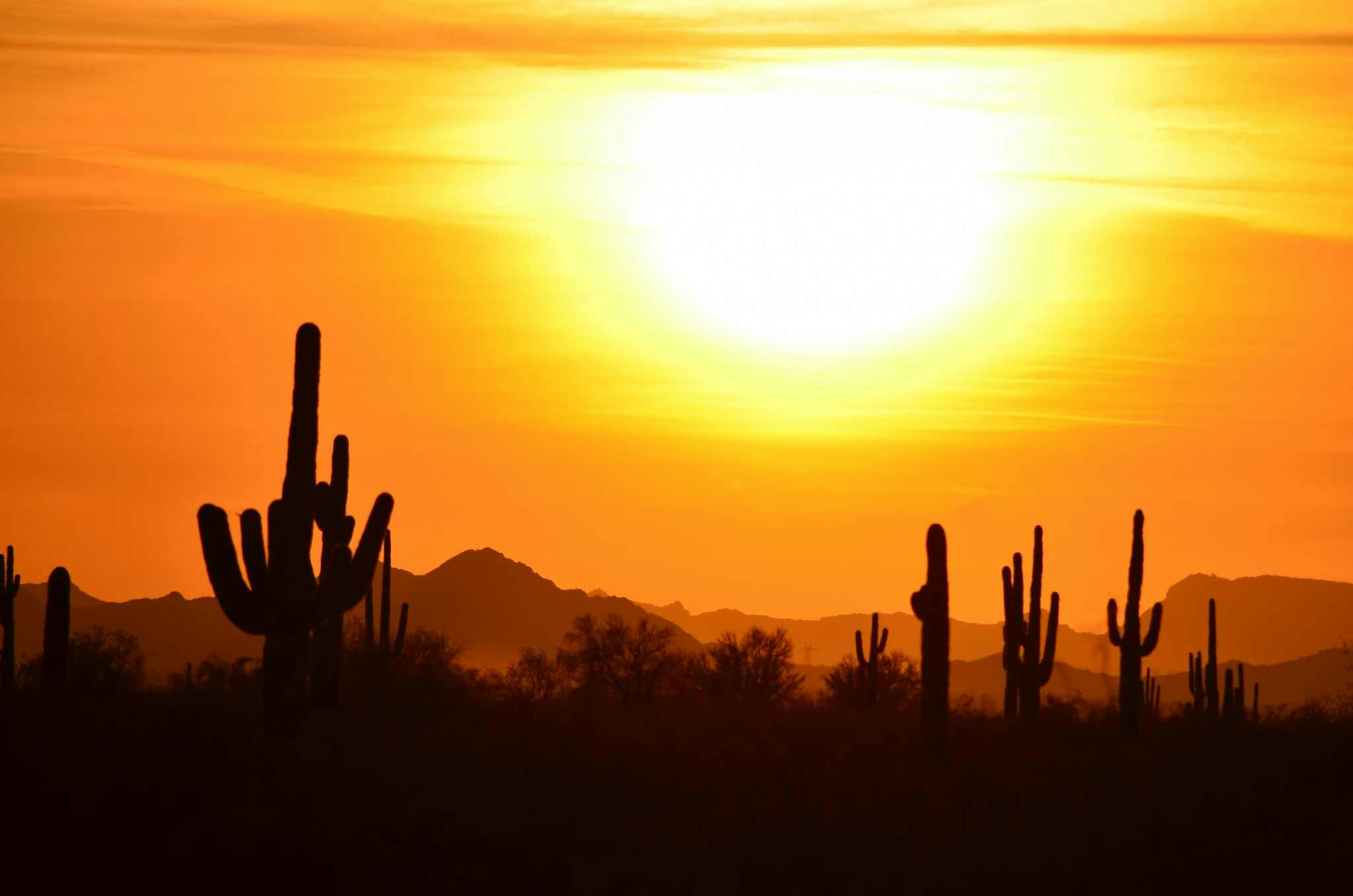 “Hidden Gems” & Things to Do in Scottsdale Arizona