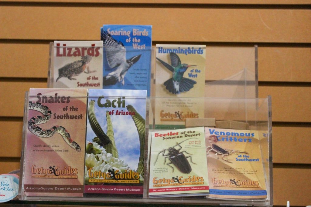 cedo-intercultural-center-for-the-study-of-deserts-and-oceans-030