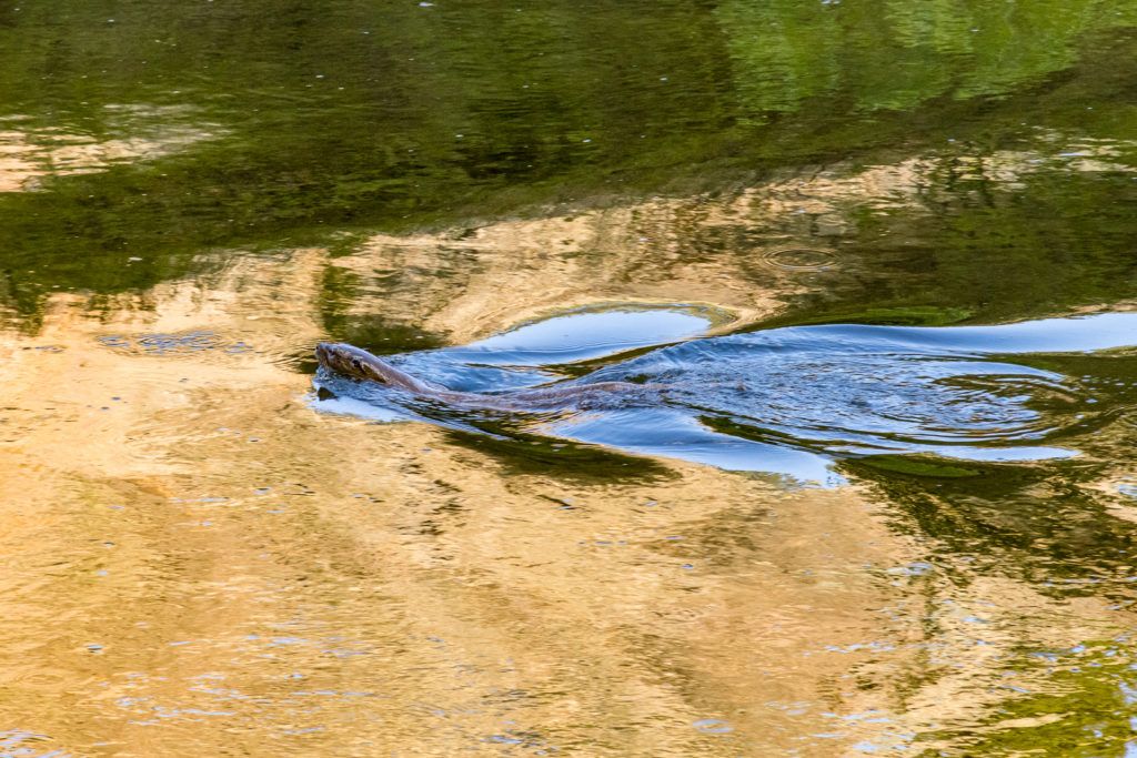 smith-rock-state-park-036