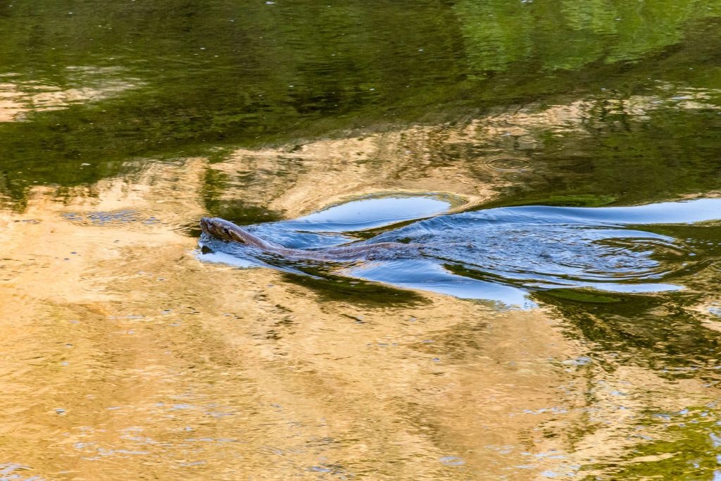 smith-rock-state-park-036
