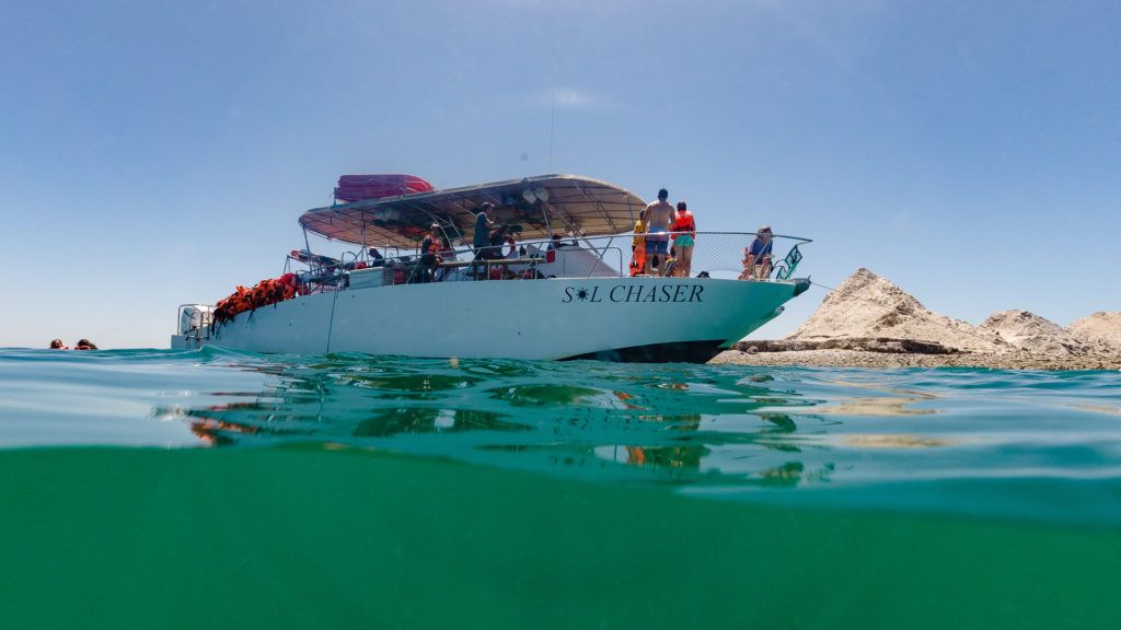 bird-island-isla-san-jorge-009