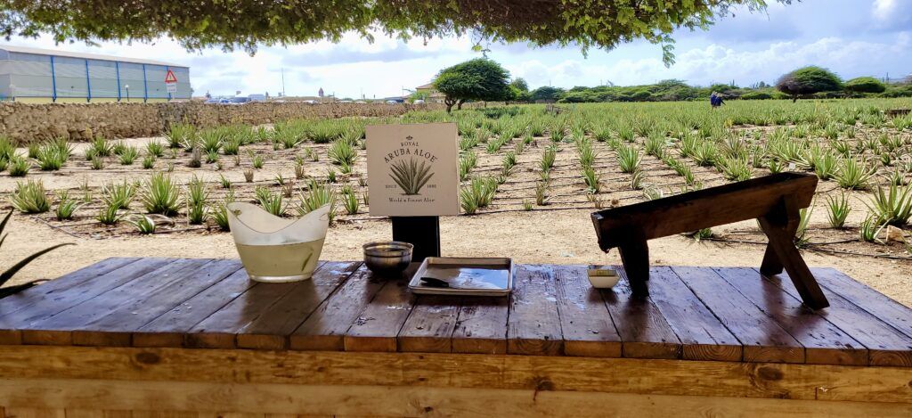 Aruba Aloe Factory Museum and Store