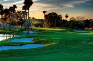 palm-harbor-golf-club-001