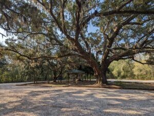 bon-secour-national-wildlife-refuge-002