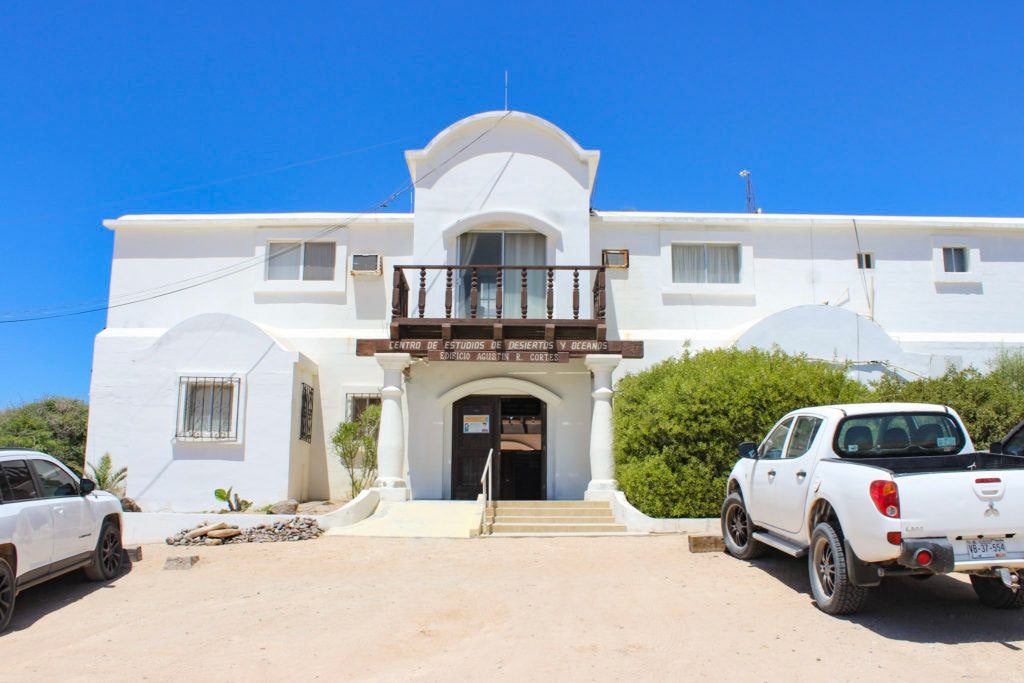 cedo-intercultural-center-for-the-study-of-deserts-and-oceans-002