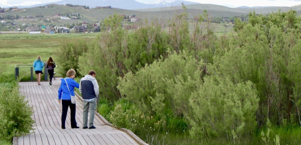 swaner-preserve-and-ecocenter-004