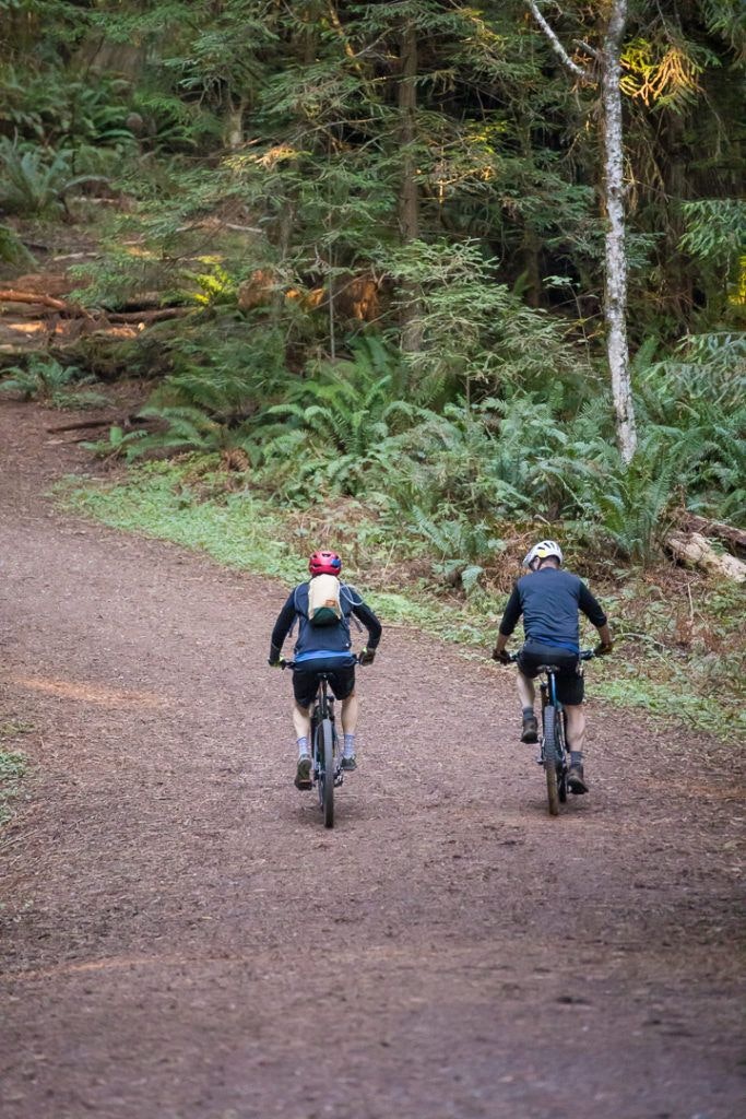 arcata-community-forest-001