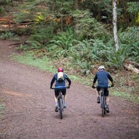 Arcata Community Forest